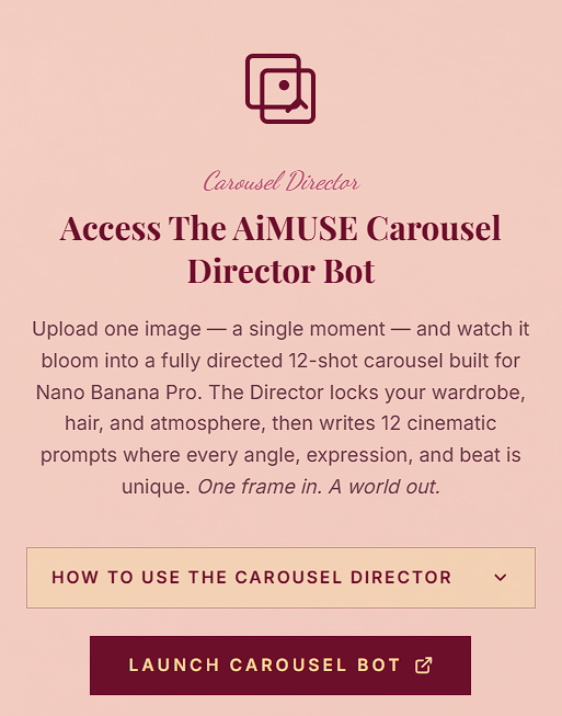 Carousel Director Bot